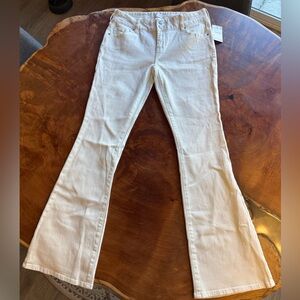 Pacsun Stretch Low Rise Bootcut Jeans